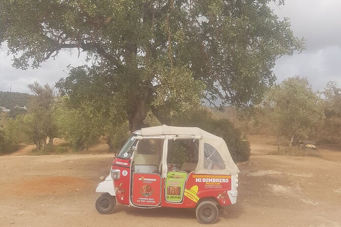 Tuk tuk tour- the best way to see coast and country side - How to get the most from the experience