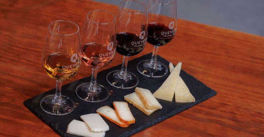 Vila Nova de Gaia: Port Wine Tasting with Cheese Pairing - A compact introduction to Port in Vila Nova de Gaia