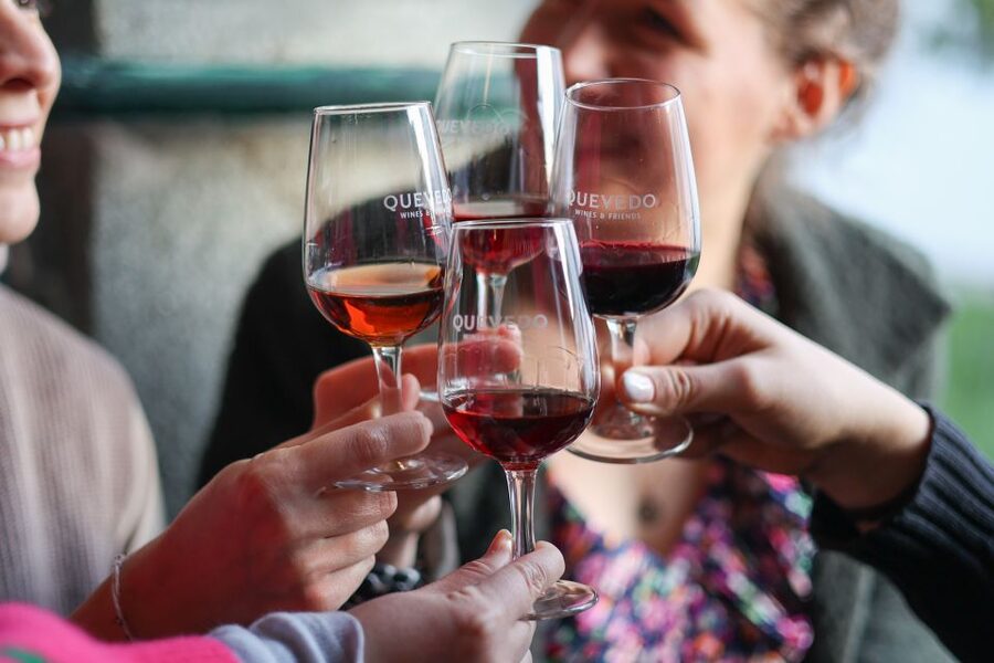 Vila Nova de Gaia: Port Wine Tasting with Cheese Pairing - The Port-making story behind the glasses