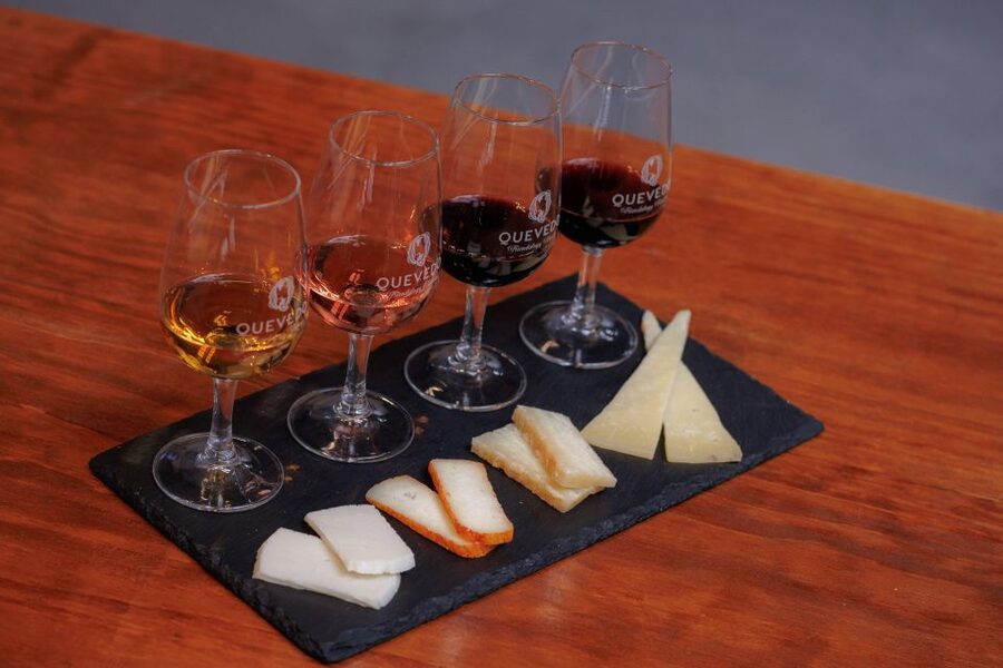 Vila Nova de Gaia: Port Wine Tasting with Cheese Pairing - What happens during the one-hour tasting