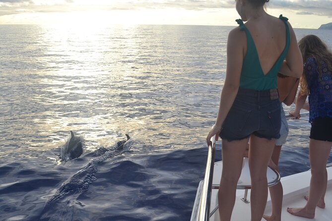 VipDolphins Luxury Whale Watching - Drinks, local snacks, and the luxury touch