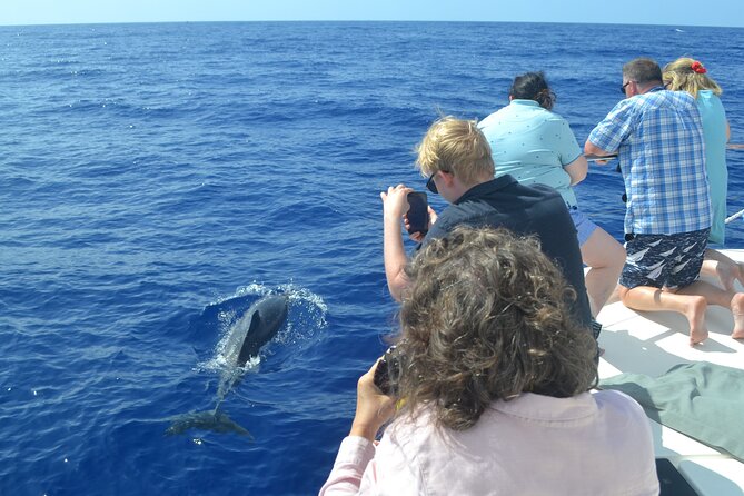 VipDolphins Luxury Whale Watching - Swimming below Cabo Girao