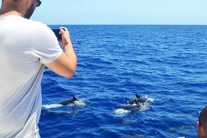VipDolphins Luxury Whale Watching - Who will enjoy this outing most