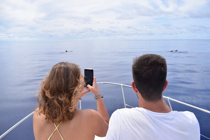 Whale and Dolphin Watching Tour in Madeira - A different view of Madeira from Calheta Marina