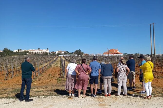 Wine Lovers: Winery Tour w/ Tasting & Tapas (Albufeira/Vilamoura) - Tasting four Portuguese wines with tapas