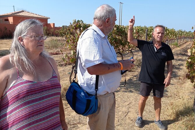Wine Lovers: Winery Tour w/ Tasting & Tapas (Albufeira/Vilamoura) - What happens on the drive from Albufeira or Vilamoura