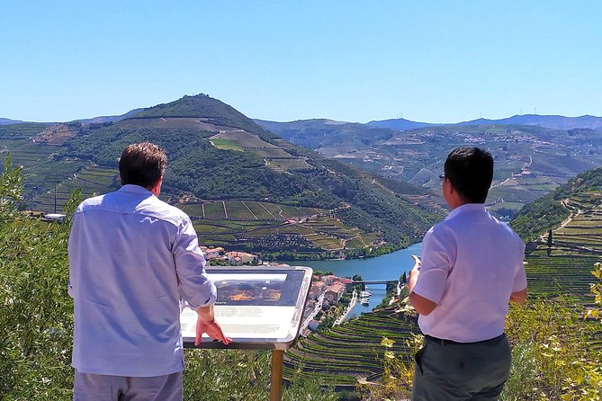 Wine Venture and Boat Trip in Douro Valley from Porto - Timing, age limits, and practical details