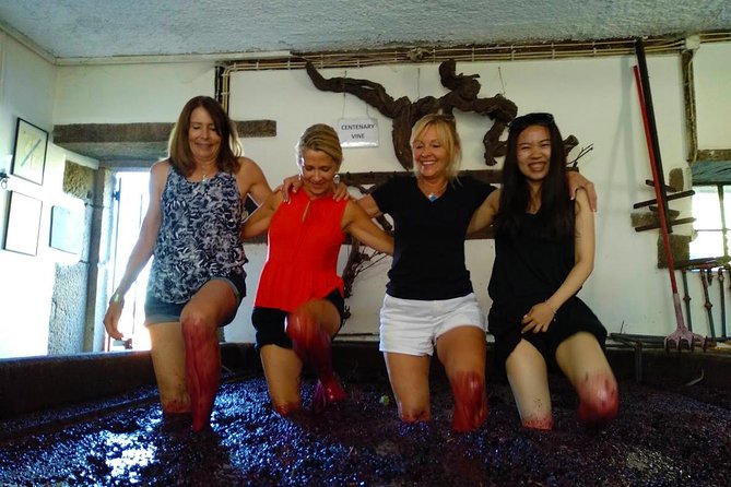 Wine Venture and Boat Trip in Douro Valley from Porto - Who should book this experience